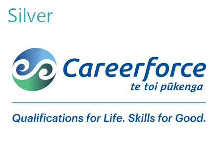 Careerforce Silver